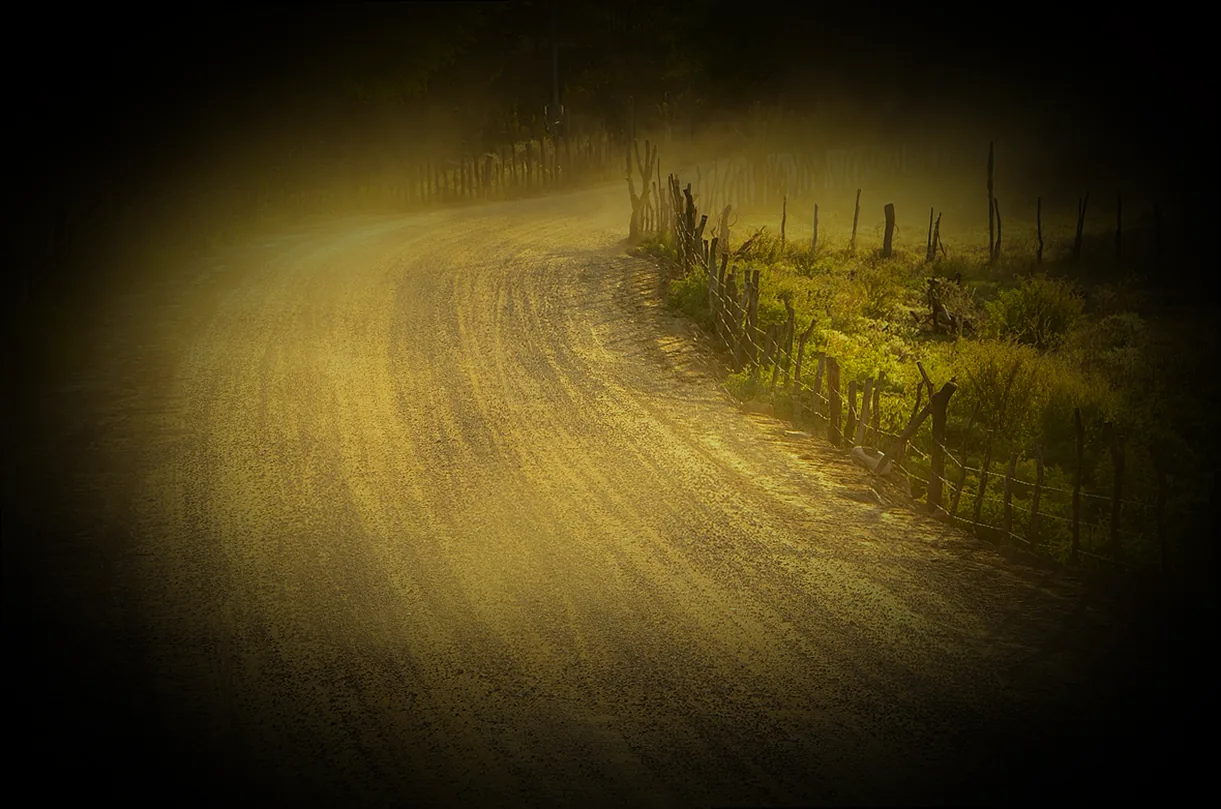 blech gegen schnecken