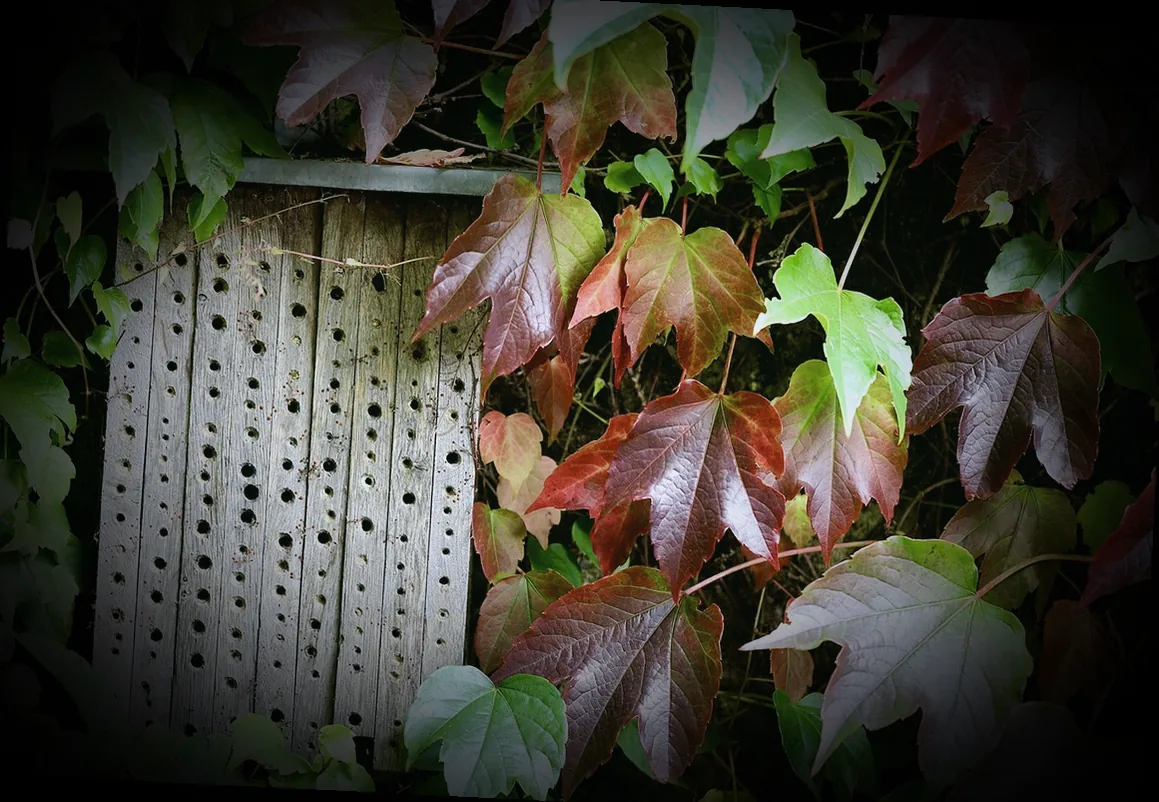 naturschutzcenter bienenhotel