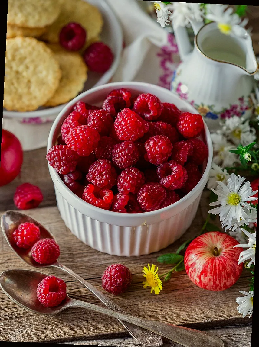 obststräucher für den garten