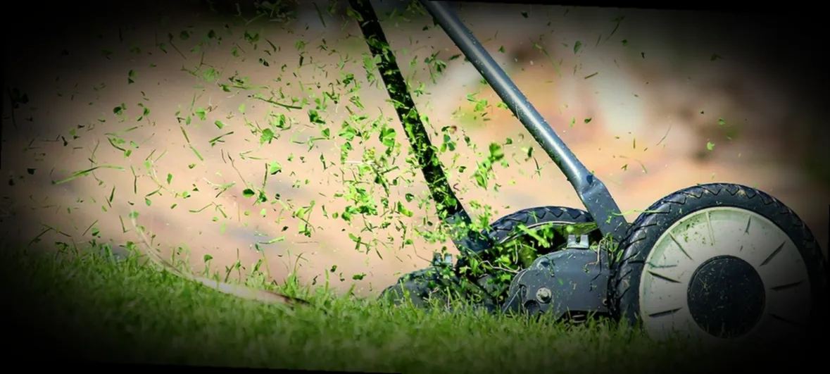 rasen im oktober mähen